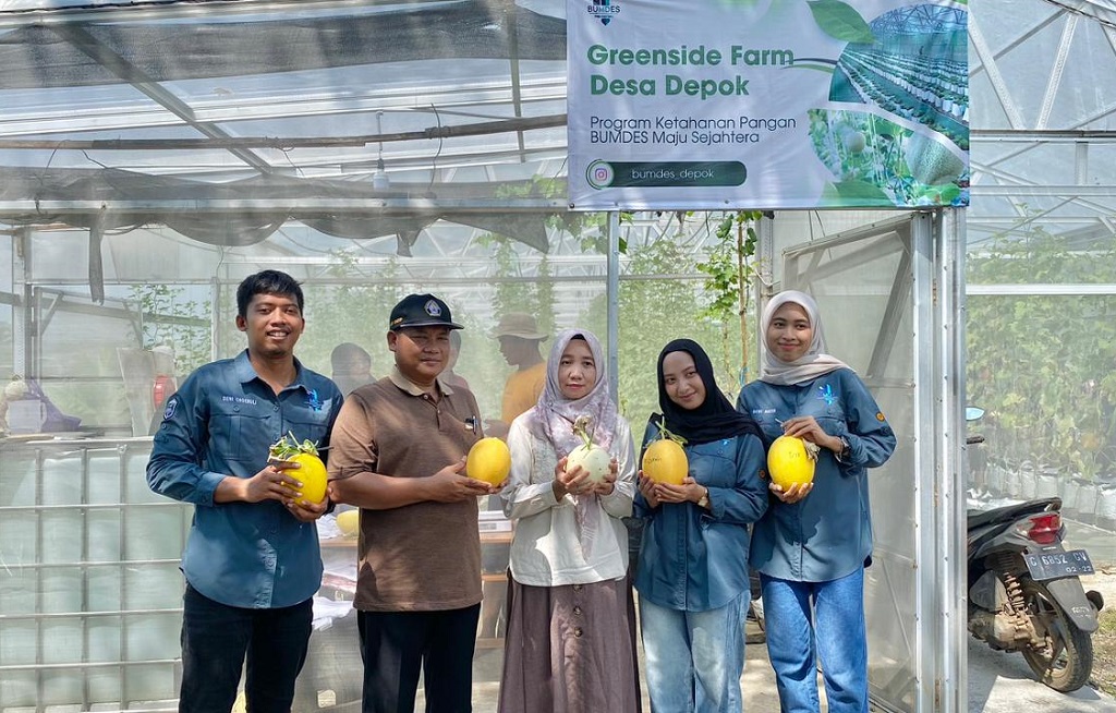 BUMDes Depok Jadi Ikon Desa, Panen Melon Hasil Lebih Baik