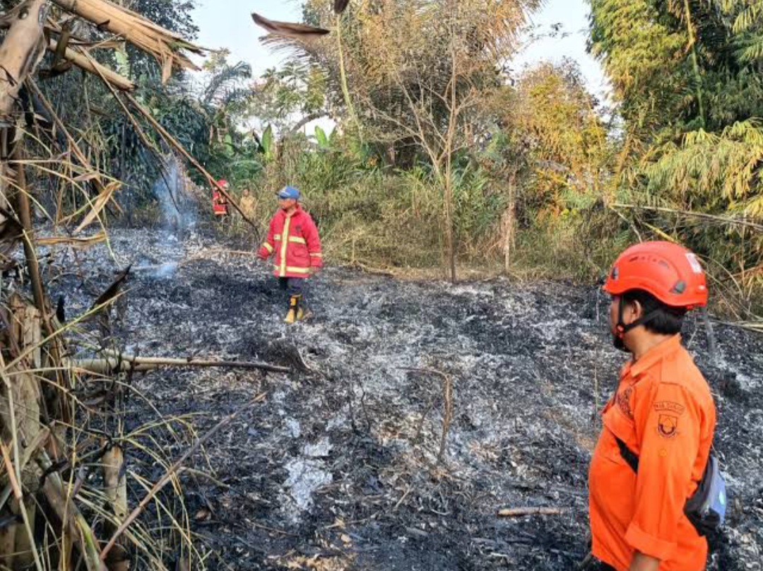 Awas! Lima Titik Karhutla di Cianjur Terjadi Hampir Bersamaan